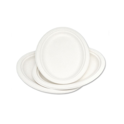 Restaurant oval plate biodegradable take away sugarcane paper plate