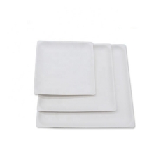 New Style Square Bagasse Pulp Biodegradable Sugarcane Plates