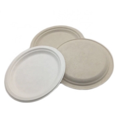 Eco friendly biodegradable sugarcane plates bagasse disposable paper plate