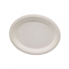 Oval Biodegradable Bagasse Sugarcane Plate For Food