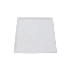 High Quality Biodegradable Sugarcane Plate Compostable Plates