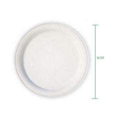 Wholesale Price 10 Inch Compostable Sugarcane Pulp Bagasse Round Plate