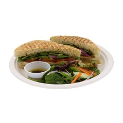 Hot Sell 100% Biodegradable Tableware Sugarcane Disposable plate