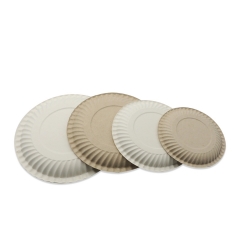 Disposable compostable sugarcane bagasse pulp round plates