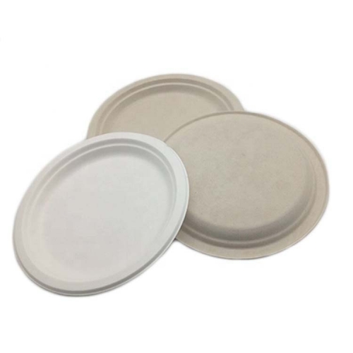 Nature 100% Compostable Bagasse Disposable Plates Sugarcane Plate