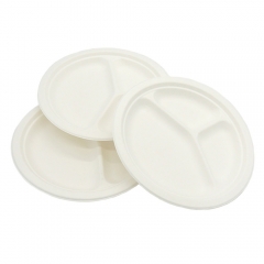 Water and oil-proof disposable biodegradable sugarcane plate for restaurant