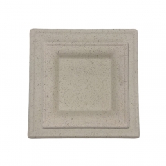 Eco Friendly Disposable Degradable 10inch Sugarcane Square Bagasse Plate