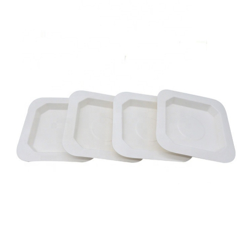 New Product Compostable Sugarcane Disposable Dessert Plates