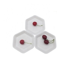 New Biodegradable Sugarcane Tableware Disposable Cake Plate