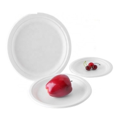 Eco friendly biodegradable sugarcane plates bagasse disposable paper plate