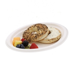 Eco Disposable Natural Bagasse Sugarcane Oval Plate