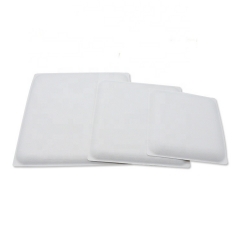 Factory Disposable Biodegradable Compostable Sugarcane Bagasse Plate