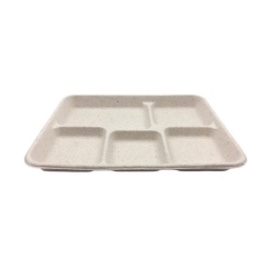 Hot selling disposable compostable 5 compartment packaging dinner tray for restaurant