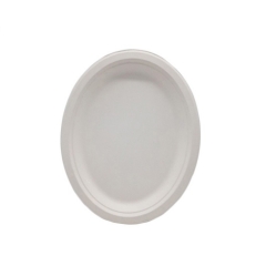 Popular disposable sugarcane bagasse compostable oval party food plates