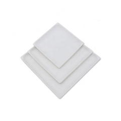 Popular Compostable Square Sugarcane Bagasse Plate