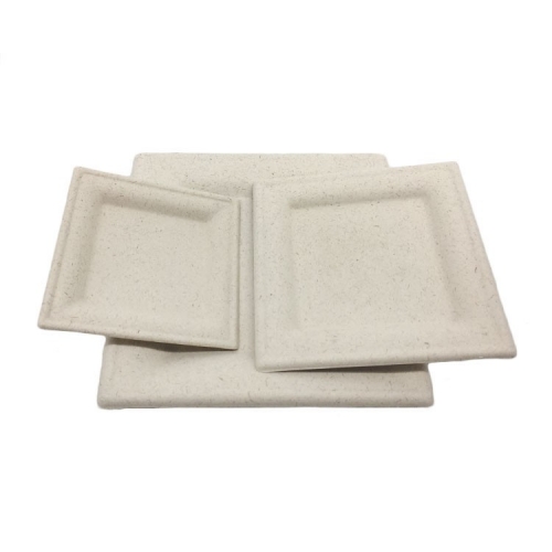 Eco-friendly biodegradable paper pulp bagasse disposable cake plates