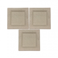 Hot Sale 8 Inch Biodegradable Sugarcane Disposable Plates