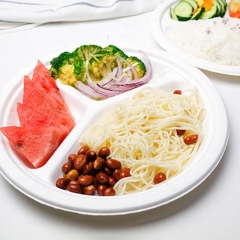 Wholesale Price 9 Inch Biodegradable 3 Compartment Sugarcane Bagasse Dinner Plate
