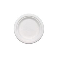 Assiette de bagasse de canne à sucre compostable biodégradable et écologique