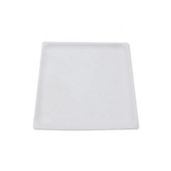 New Design Eco Sugarcane Pulp Bagasse Disposable Plate for Cake