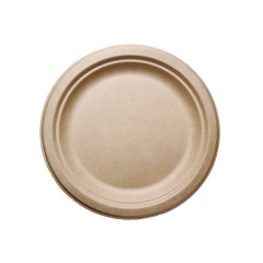 Eco Friendly 9 Inch Bagasse Sugarcane Disposable Plates Eco Friendly