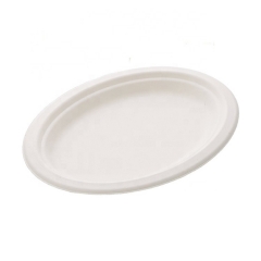 Assiette ovale de canne à sucre en bagasse naturelle jetable Eco