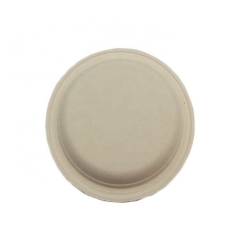 High Quality Nature White Disposable Sugar Bagasse Plates