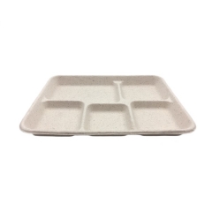 New design biodegradable disposable sugarcane pulp 5 part food tray for restaurant