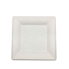 Square Bagasse Fiber Sugarcane Disposable Plates