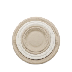 Bagasse Plate Compostable Biodegradable Sugarcane Plates For Party
