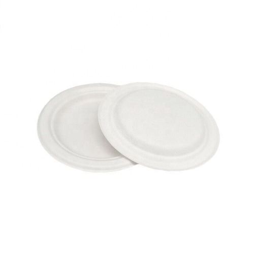 Disposable Bagasse Plate Biodegradable Sugarcane Ecofriendly Plates