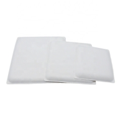 Biodegradable Disposable Bagasse Square Plates for Dinner