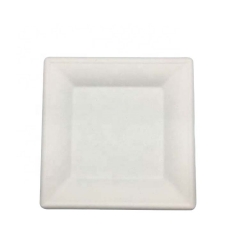 6 Inch Eco Disposable Biodegradable Compostable Bagasse Sugarcane Plates