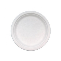 9 Inch Biodegradable Bagasse Disposable Elegant Sugar Cane Plates for Party