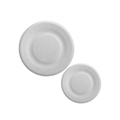 Biodegradable Plate Compostable Sugarcane Fibre Pulp Dinner Eco Friendly Disposable Plates