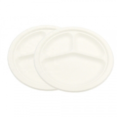 3-Compartment Plates Bagasse Plate Sugarcane For Lunch