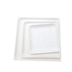 Assiettes carrées peu profondes jetables en assiette biodégradable à la canne à sucre