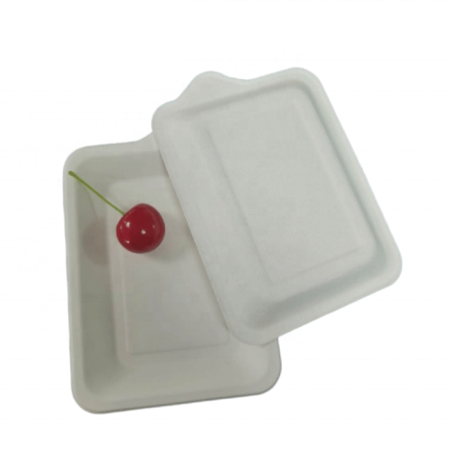 Biodegradable Bagasse Party Sugarcane Pulp Cake Plates with handle