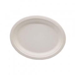 Disposable Biodegradable Food Bagasse Sugarcane Oval Dinner Plate For Restaurant