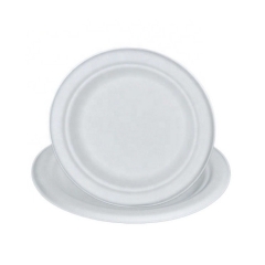 6inch Biodegradable Disposable Bagasse Pulp Sugarcane Plates