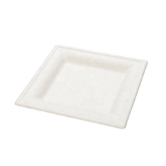 Compostable Disposable Plates Eco Friendly Sugarcane Plate