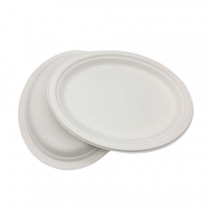 Cheap biodegradable bagasse tableware takeaway lunch oval plate