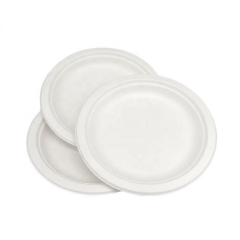 Biodegradable Plate Sugarcane Disposable Bagasse Plates For Camping