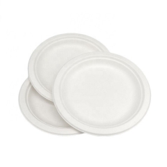 Biodegradable Plate Sugarcane Placas descartáveis ​​de bagaço para camping