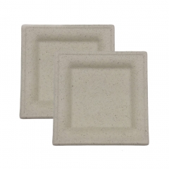 Best selling products biodegradable disposable sugarcane square plate