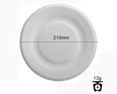 Biodegradable Plate Compostable Sugarcane Fibre Pulp Dinner Eco Friendly Disposable Plates