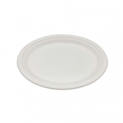Placa ovalada biodegradable barata del almuerzo para llevar del vajilla del bagazo