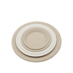 Bagasse Plate Compostable Biodegradable Sugarcane Plates For Party