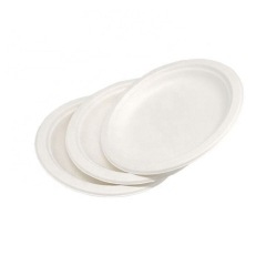 9 Inch Biodegradable Bagasse Disposable Elegant Sugar Cane Plates for Party