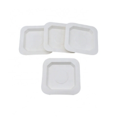 Assiette carrée composable en canne à sucre Vaisselle en bagasse jetable